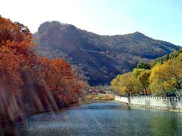 澳门二四六天天彩图库，密春雷简历